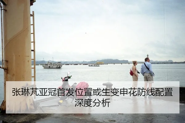 张琳芃亚冠首发位置或生变申花防线配置深度分析